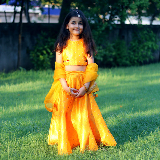 Yellow Embroidery Applique Sleeveless Lehnaga Choli Set