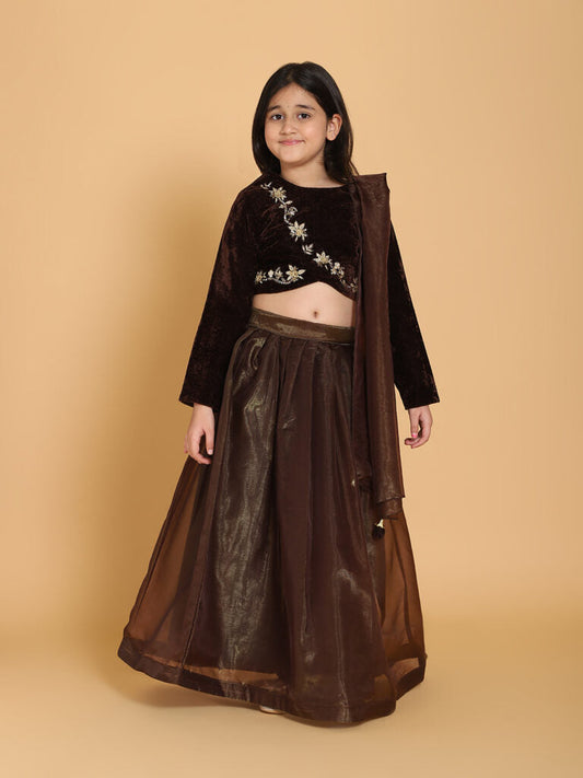 Girls Floral Hand Embroidered Velvet Brown Choli And Lehenga Set With Dupatta
