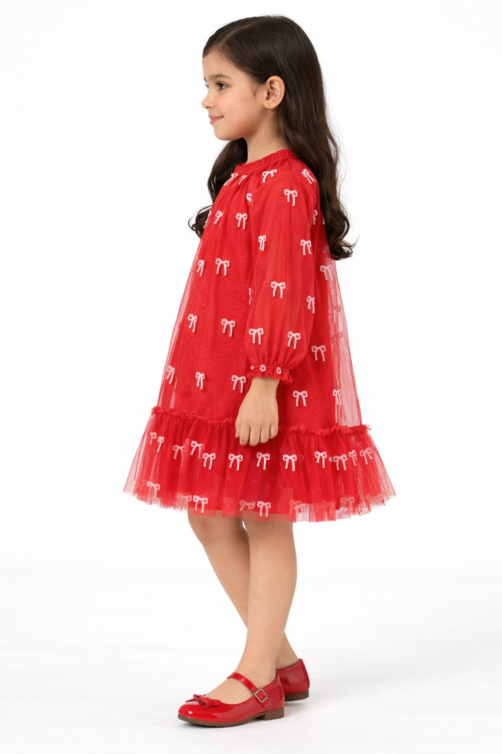 Floral Print Puff Sleeve Net A-Line Dress-red