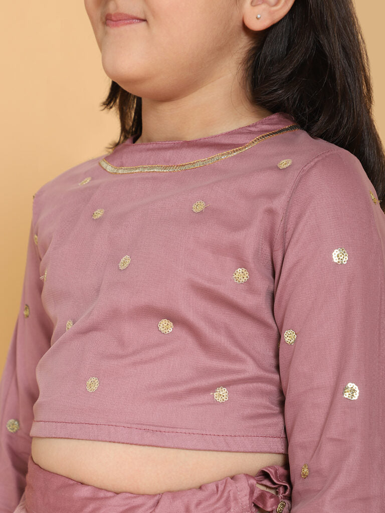 Piccolo - Mauve Net Choli With Lehenga - Mauve