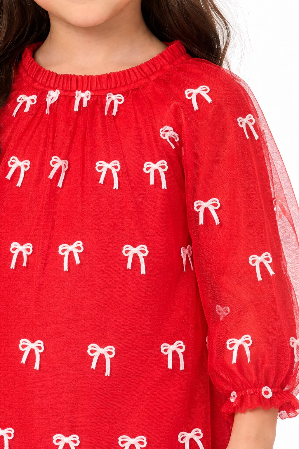 Floral Print Puff Sleeve Net A-Line Dress-red