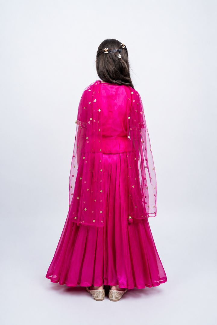 Piccolo Fuchsia Organza Embellished Kachli, Top, Lehenga & Net Dupatta Set