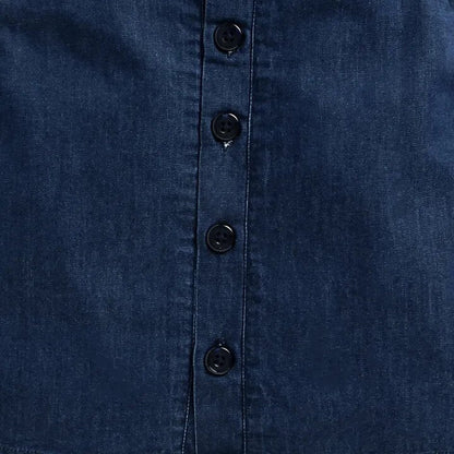 Denim Dungree With Shirt - Blue
