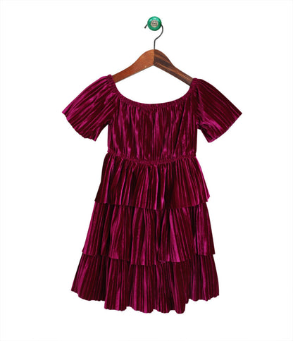 Pleated Velvet Layered Dress