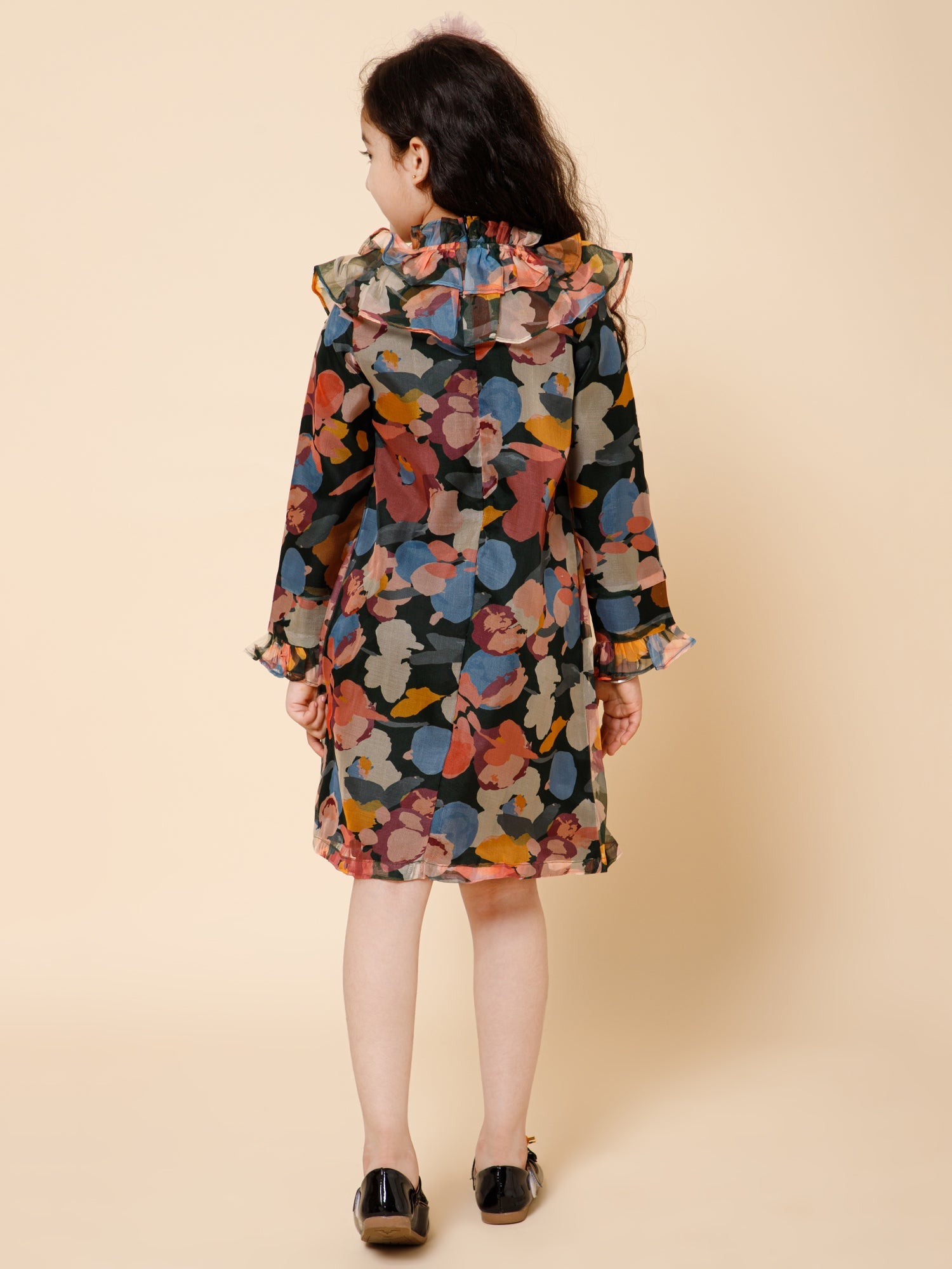 Ruffle Details High Neck Organza Dress Multi