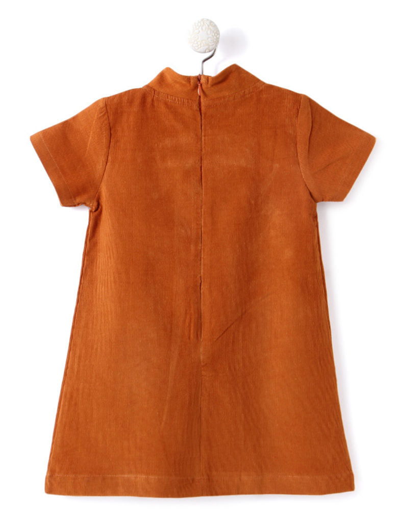 Brown Dress with Cute Bow