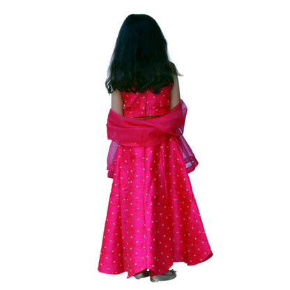 Pink Embroidery Applique Sleeveless Lehnaga Choli Set