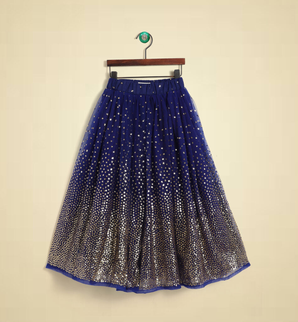 Blue Sequinned Lehenga