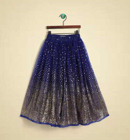 Blue Sequinned Lehenga