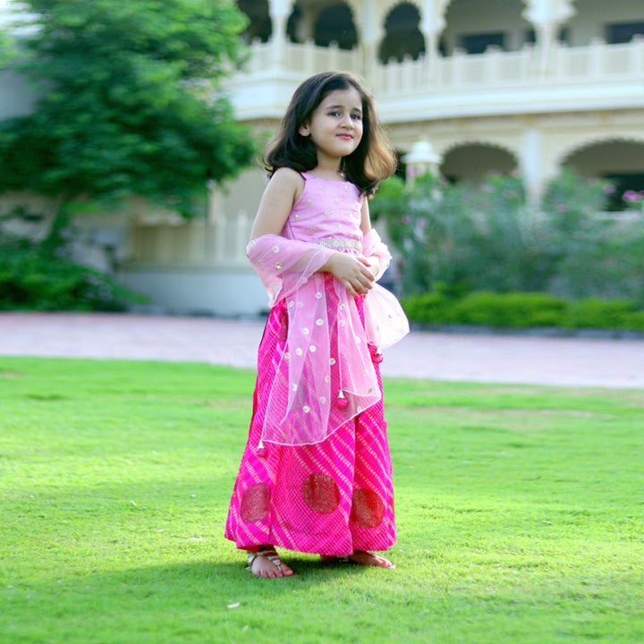 Sleeveless Pink Lehenga and Blouses Set