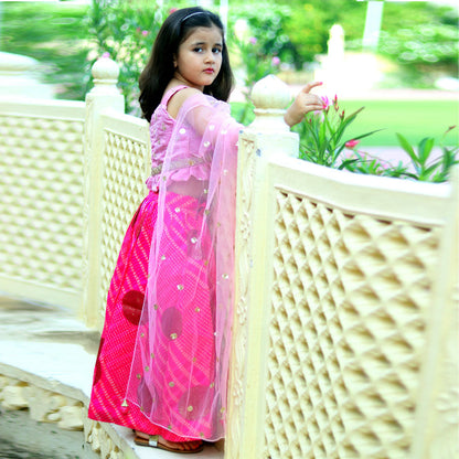 Sleeveless Pink Lehenga and Blouses Set