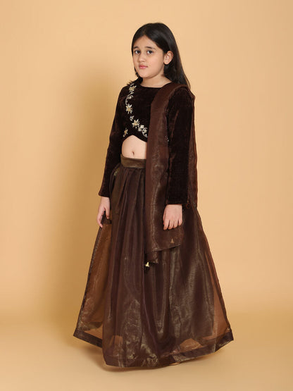 Piccolo - Brown Velvet Handwork Choli &amp; Lehenga Set With Dupatta  - Brown