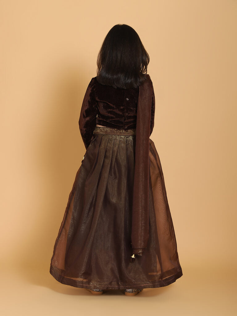 Piccolo - Brown Velvet Handwork Choli &amp; Lehenga Set With Dupatta  - Brown