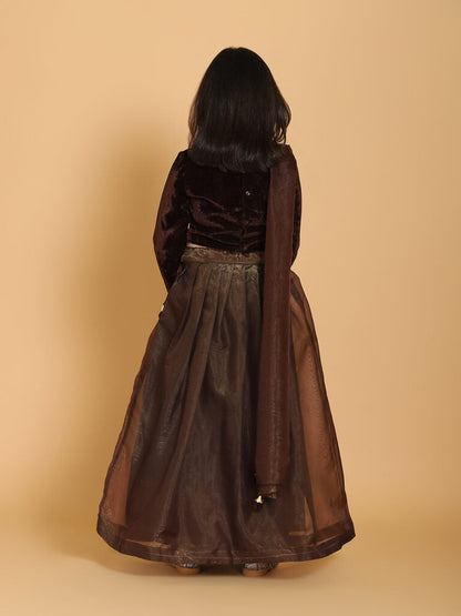 Piccolo - Brown Velvet Handwork Choli &amp; Lehenga Set With Dupatta  - Brown