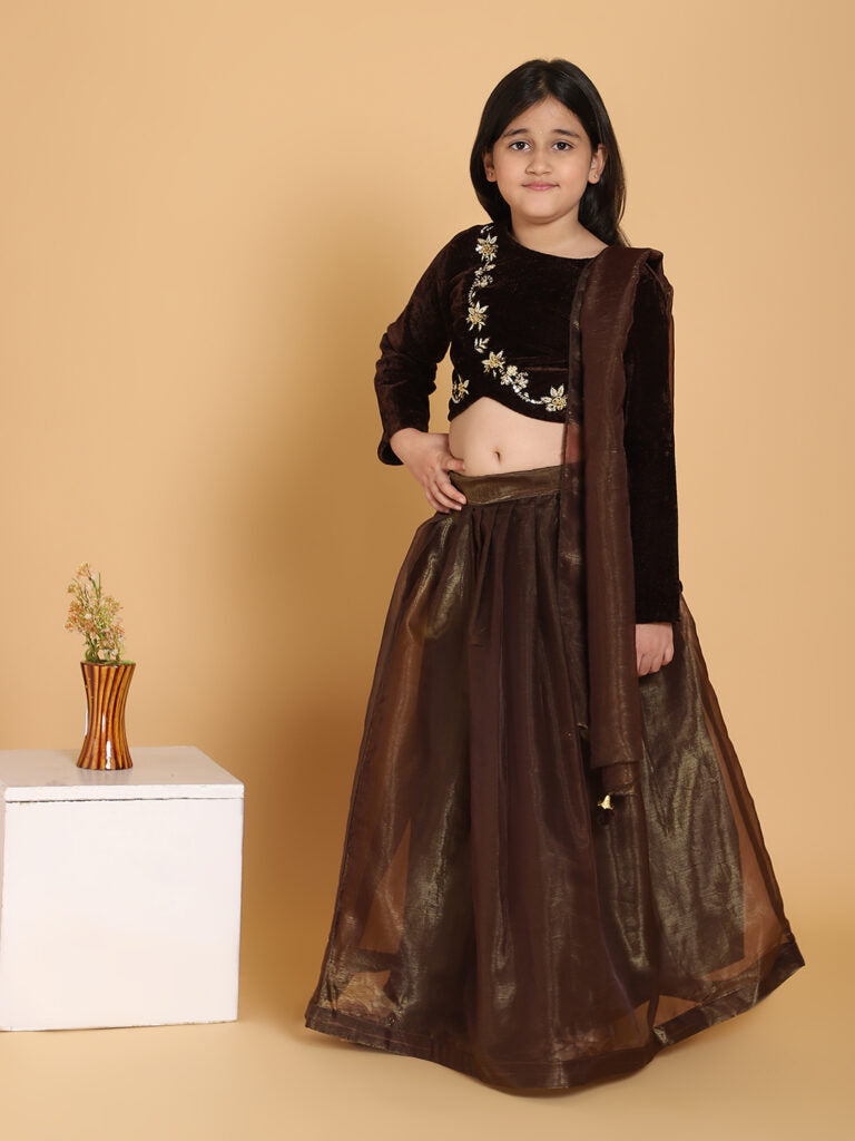 Young Girl In A Traditional Outfit With A Brown Choli and Lehenga