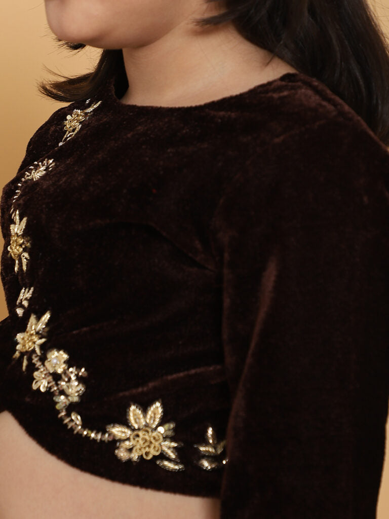 Brown Velvet Choli With Gold Floral Hand Embroidery 