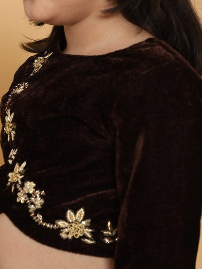 Brown Velvet Choli With Gold Floral Hand Embroidery 