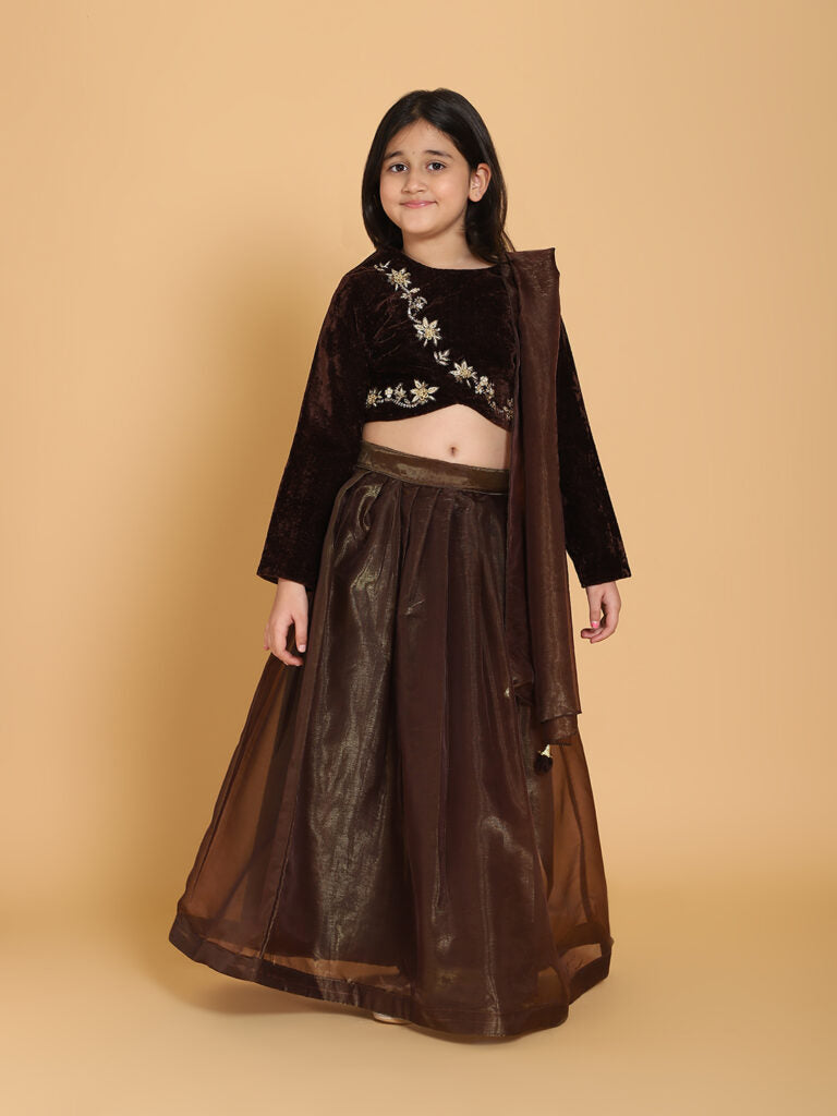 Piccolo - Brown Velvet Handwork Choli &amp; Lehenga Set With Dupatta  - Brown