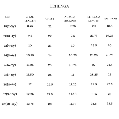 Pink Elbow Sleeves Sequin Blouse and Lehenga Set