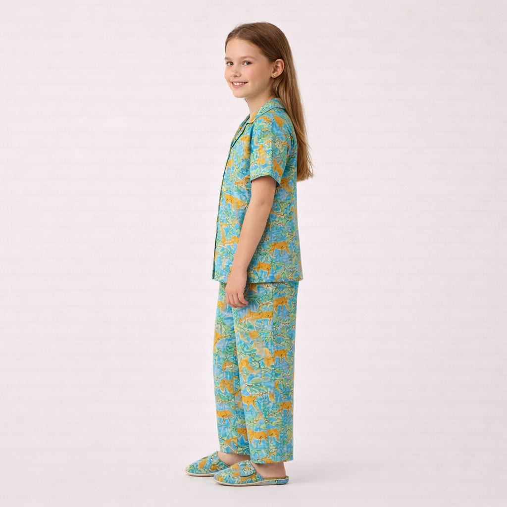 blue animal print nightsuit